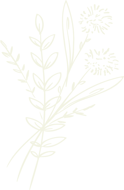 A light-colored outline drawing of a bouquet with two spherical, fluffy flowers and leafy sprigs on a black background.